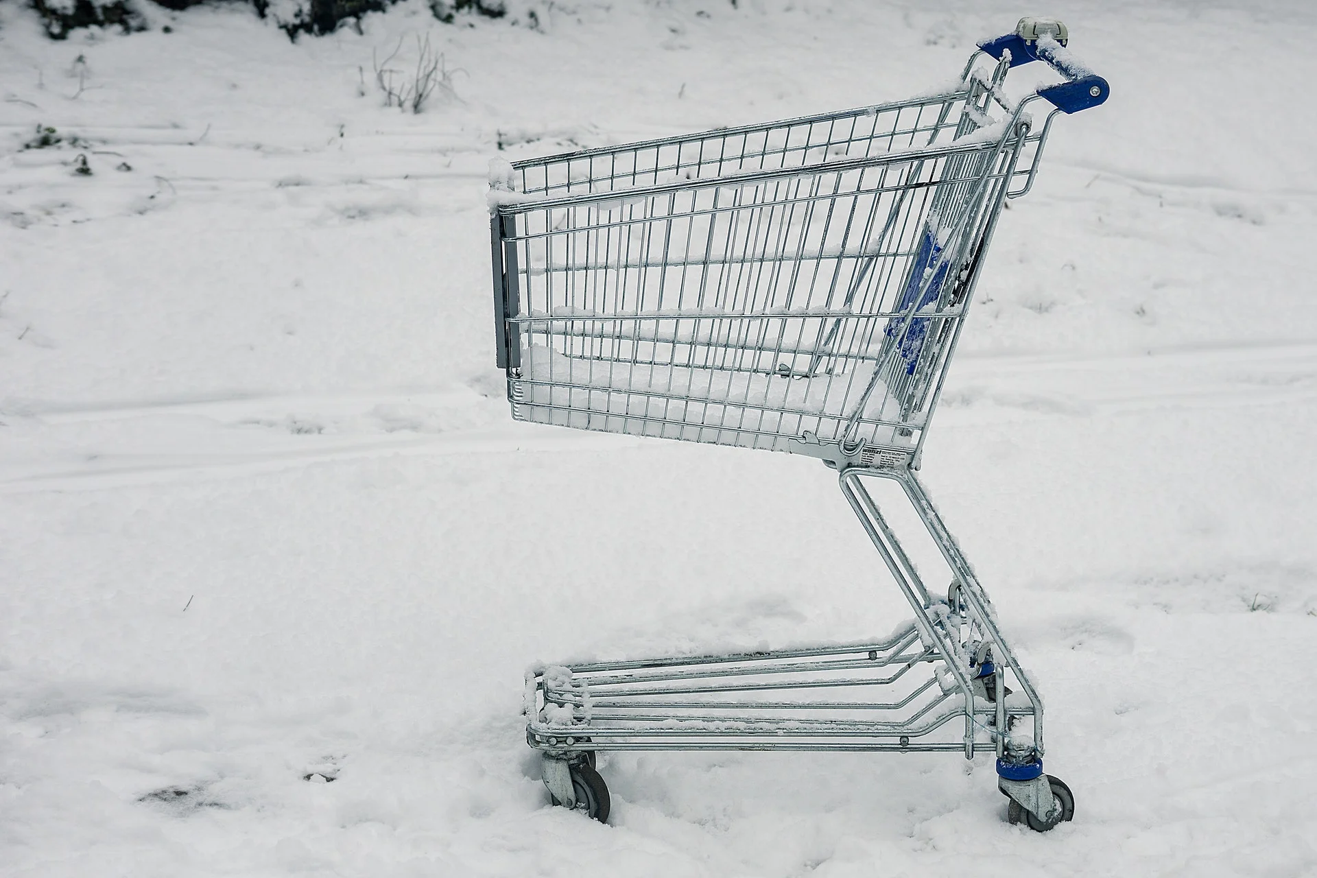shopping_cart.jpeg