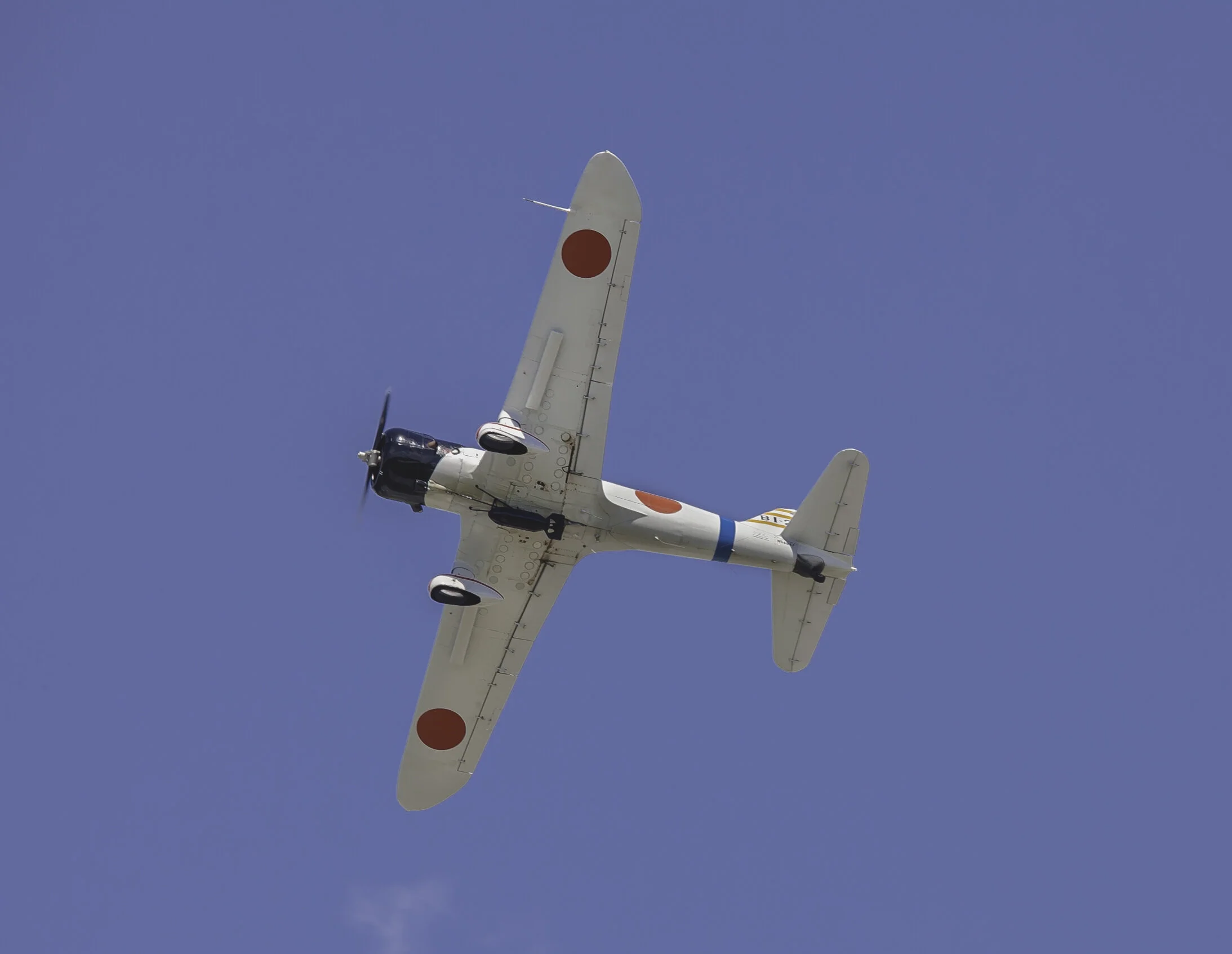 _MG_2767.jpg