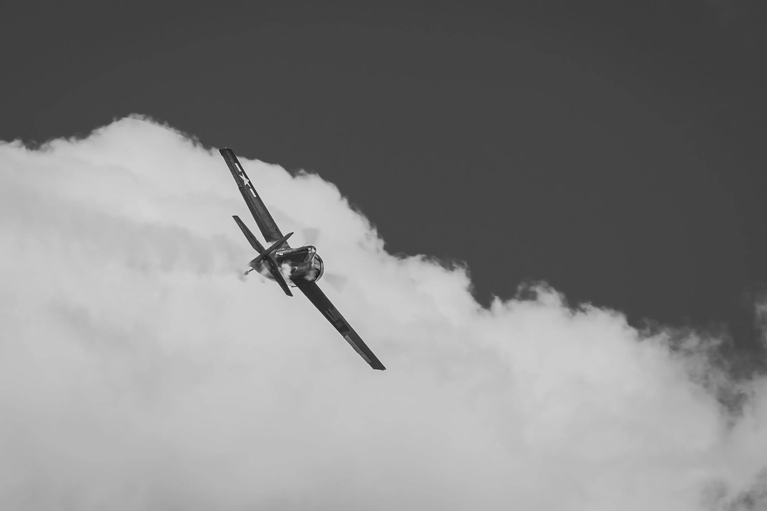 _MG_2896.jpg