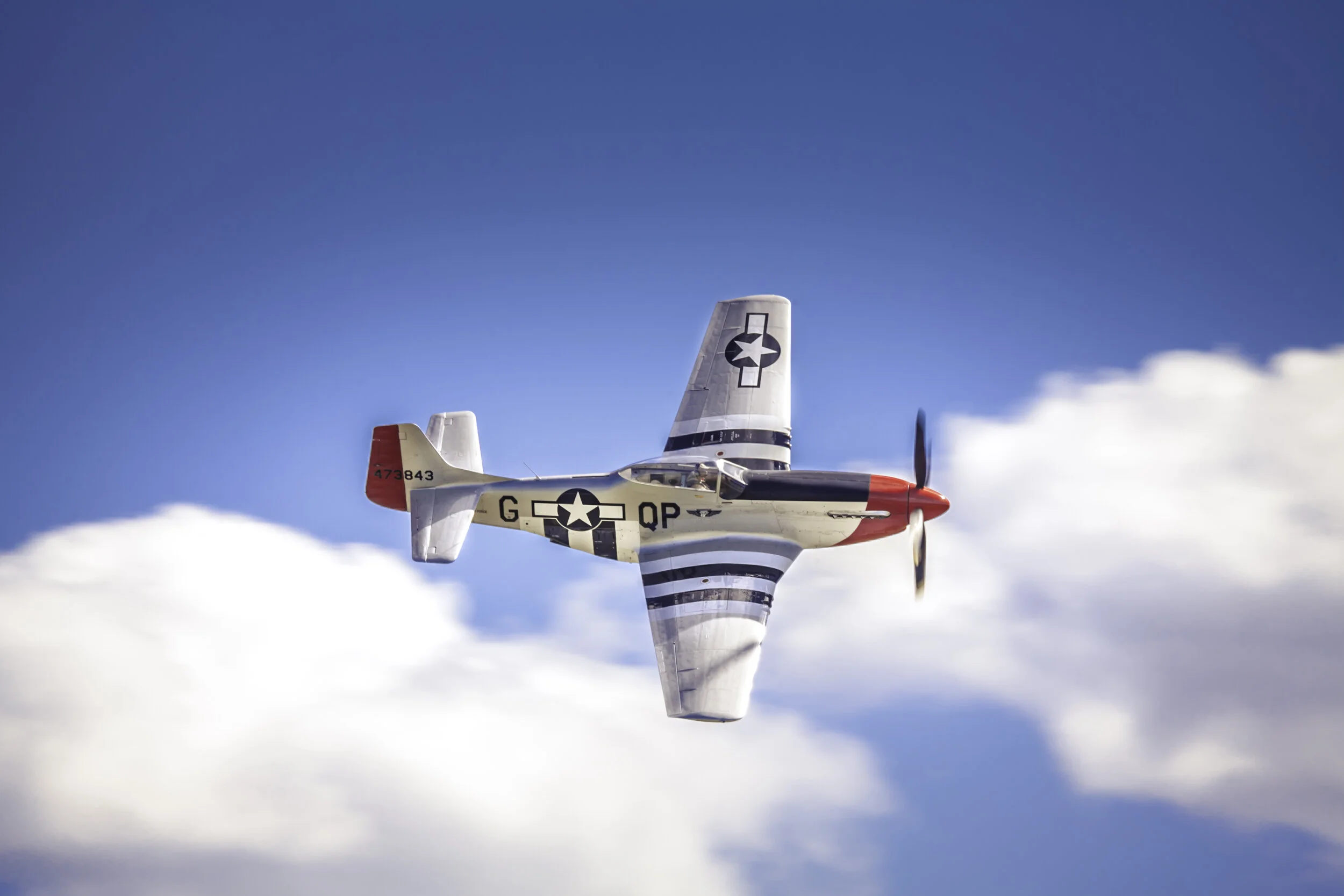 _MG_3611.jpg