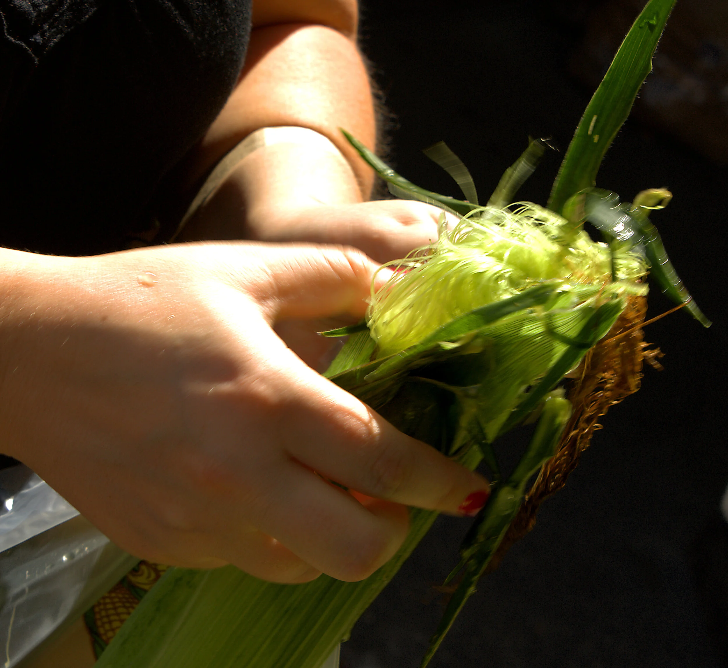 cornhusking.jpg