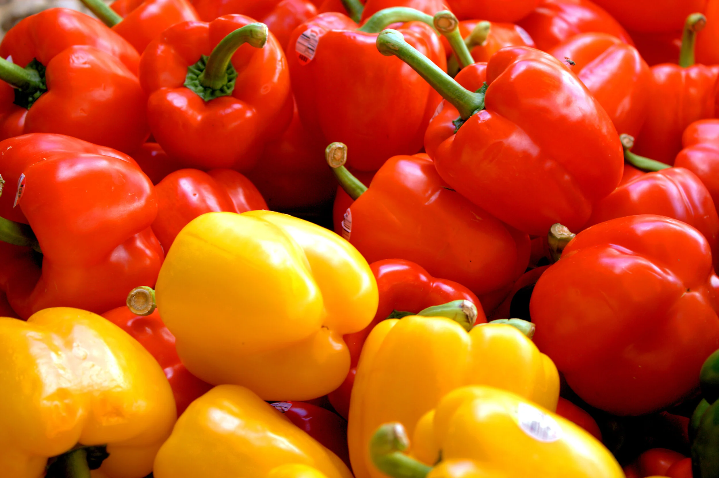 peppers.jpg
