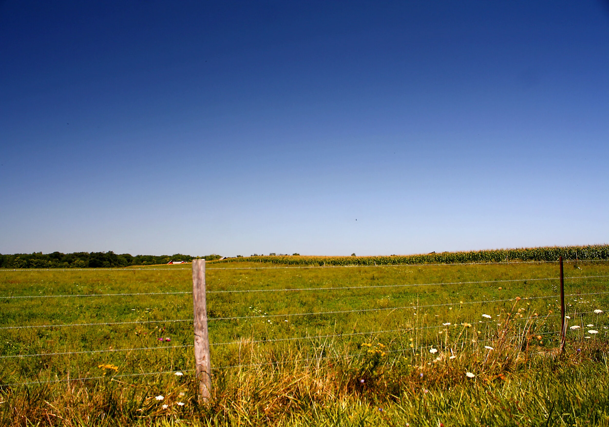 bigsky.jpg