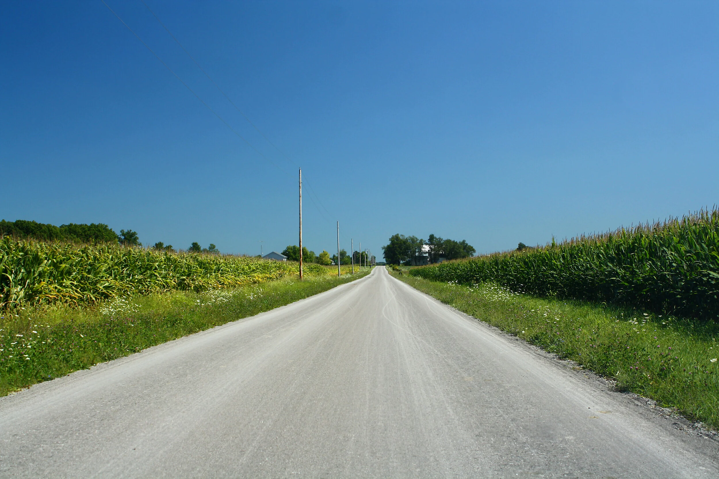 cornroad.jpg
