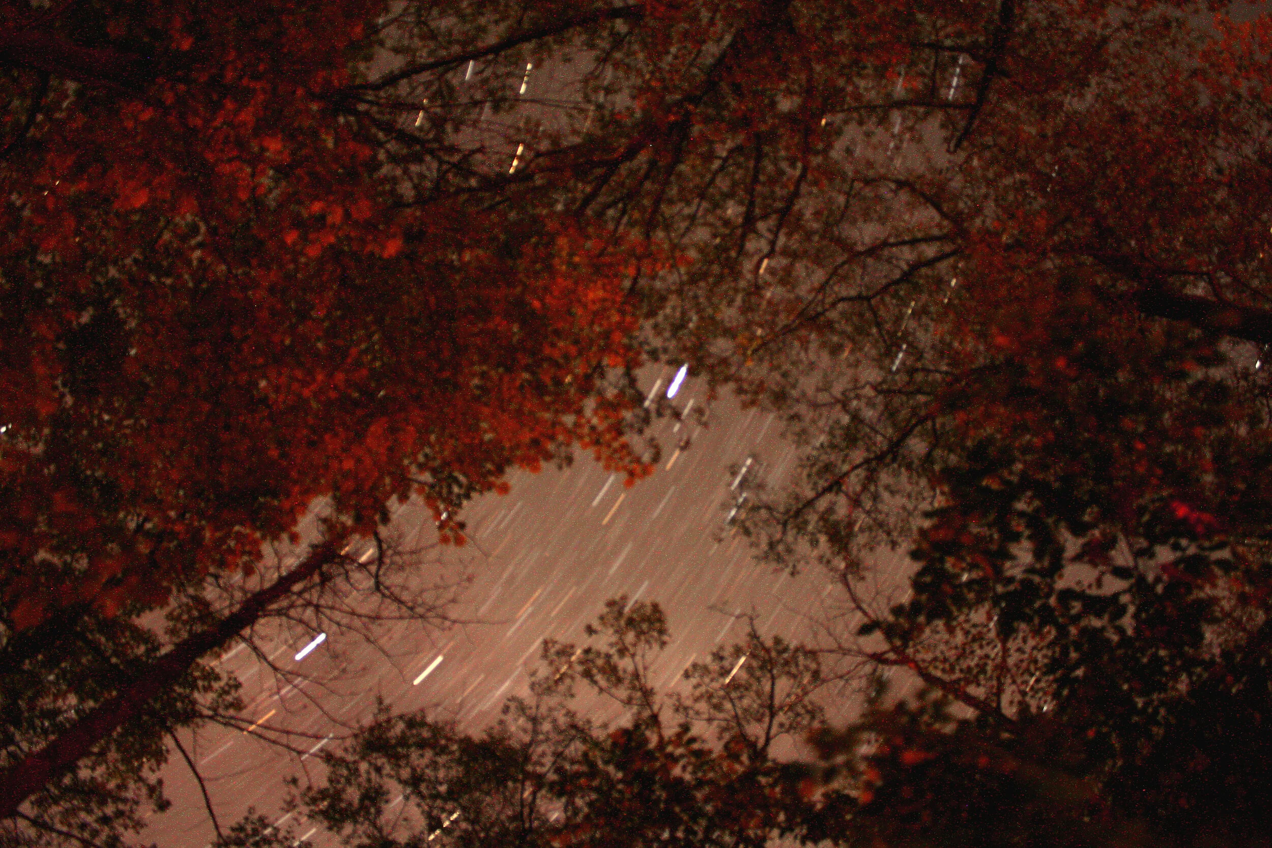 interlochennightsky.jpg