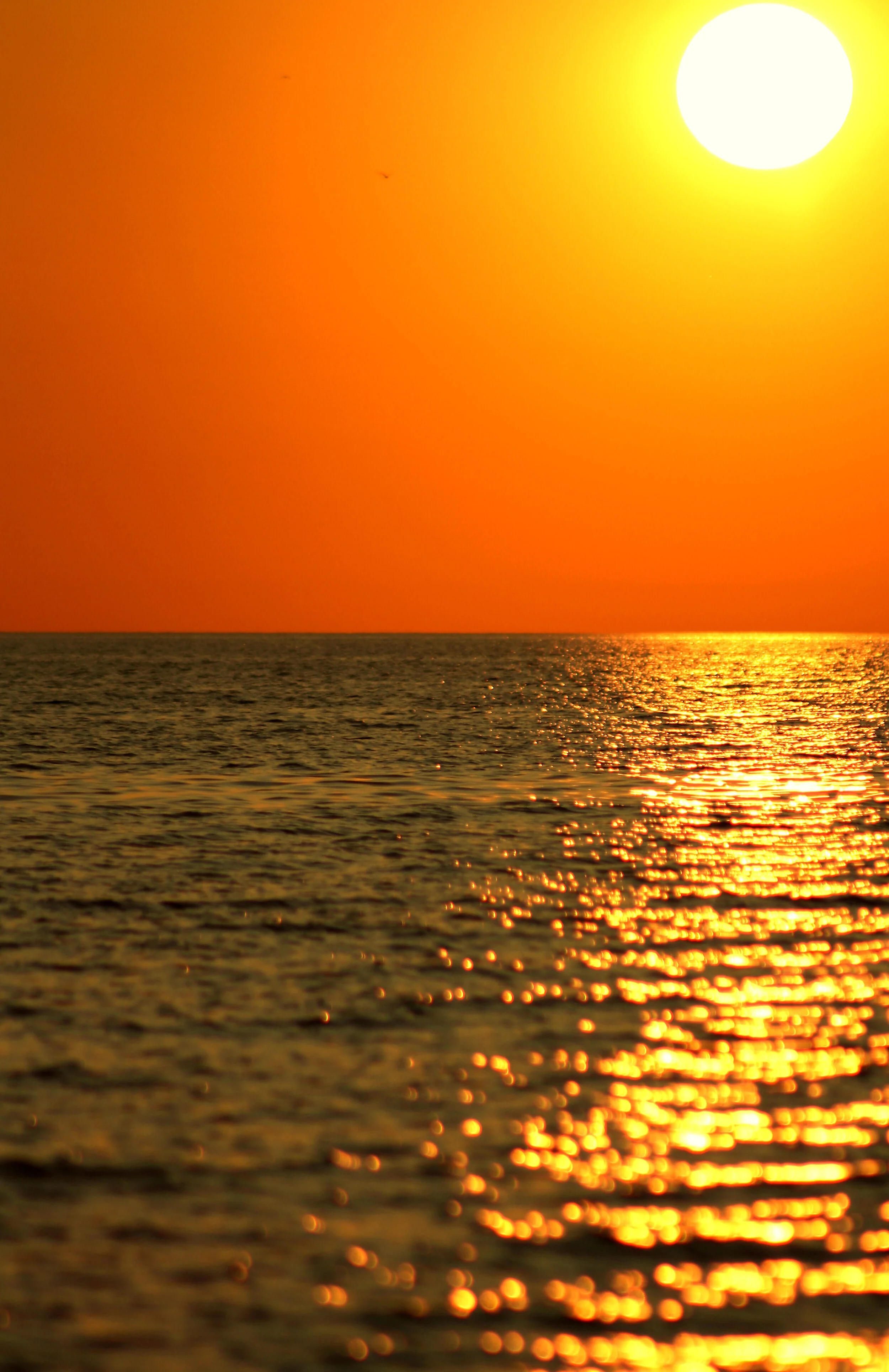 lakemichigansunset.jpg