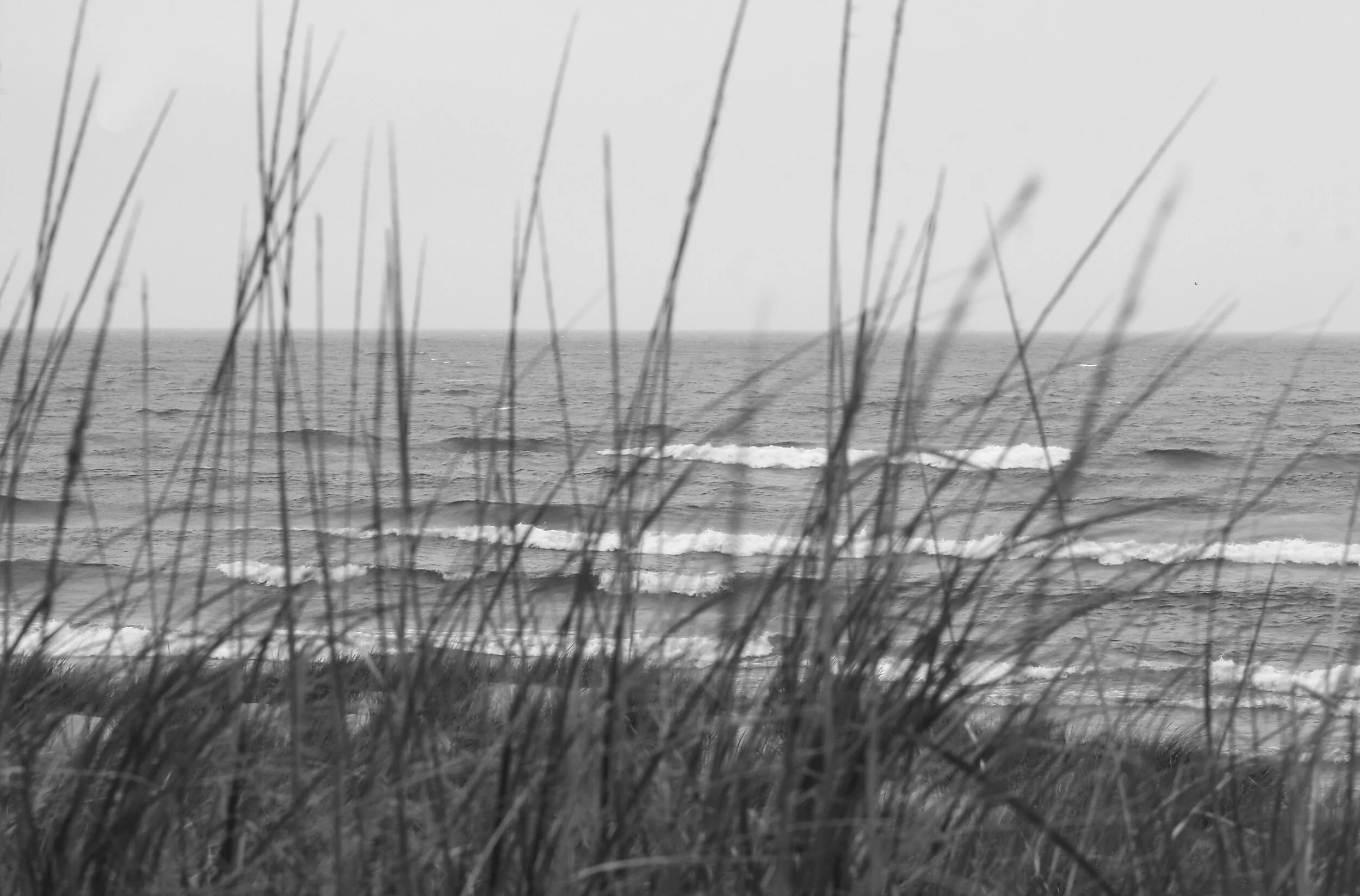 ludingtonblackwhite.jpg