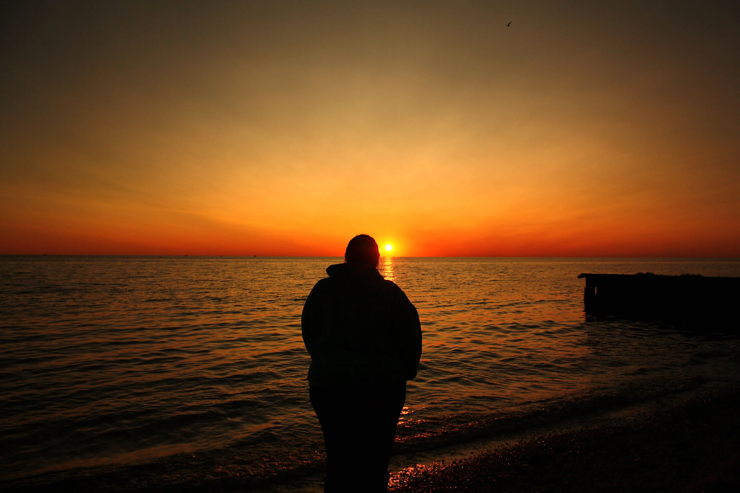 michigansunsetsihl.jpg