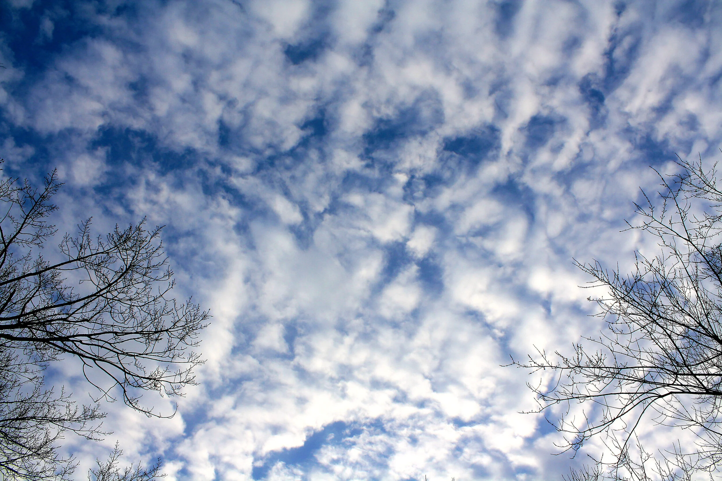 sky1.jpg