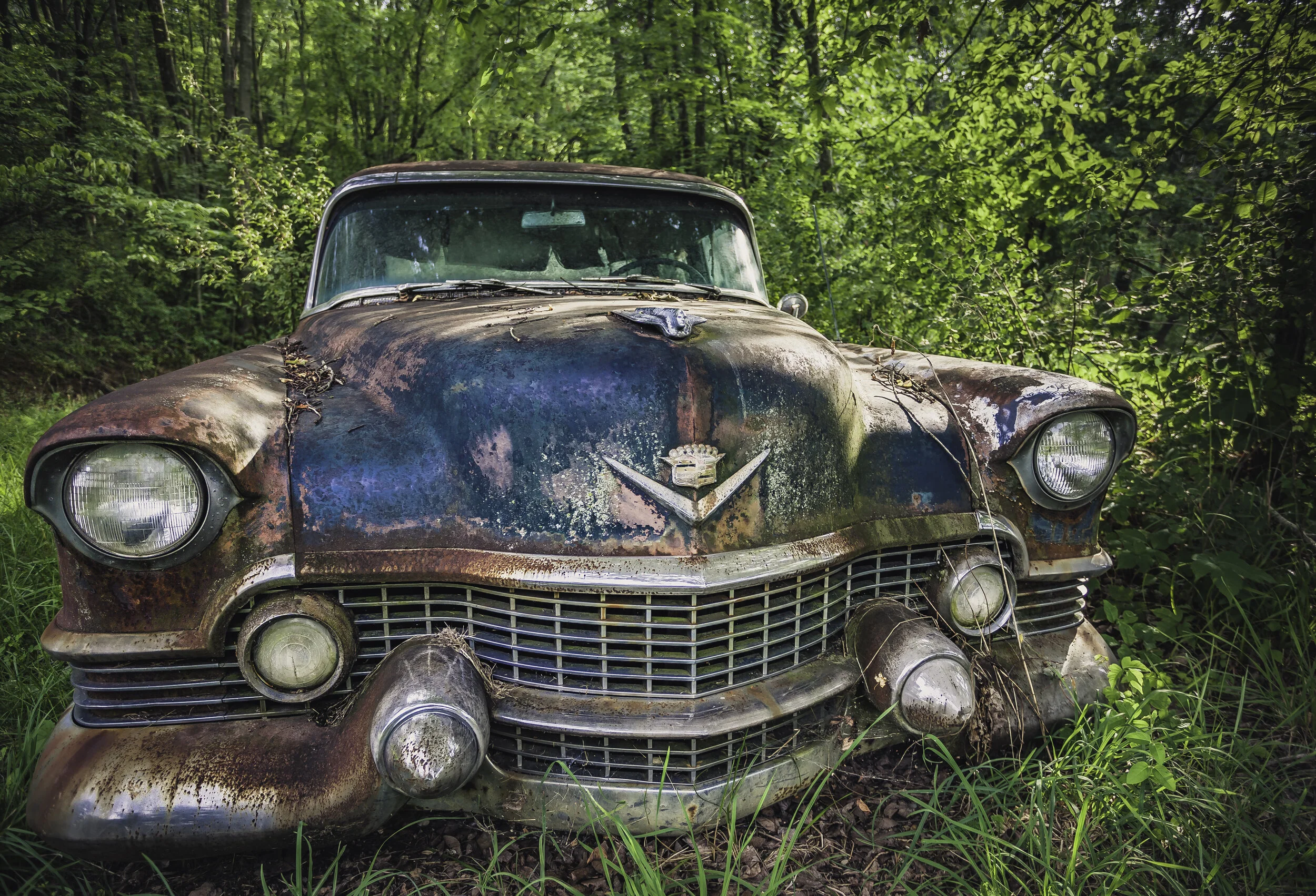 _MG_5810-HDR.jpg