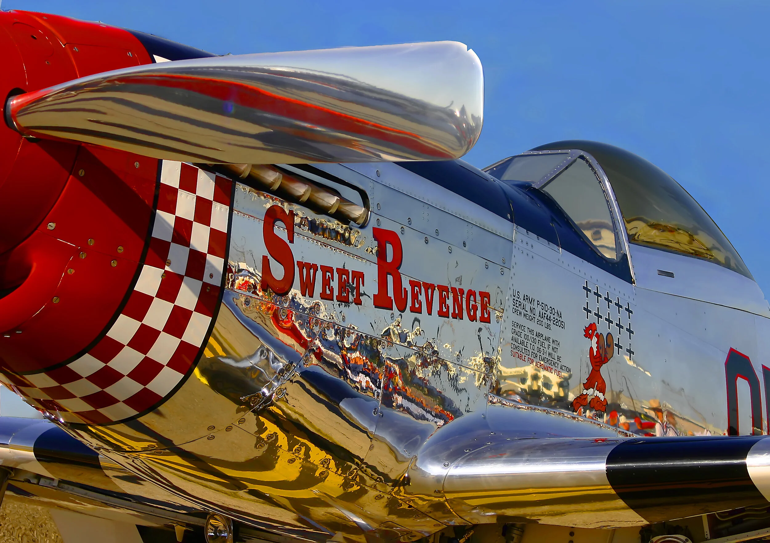 p51edit.jpg
