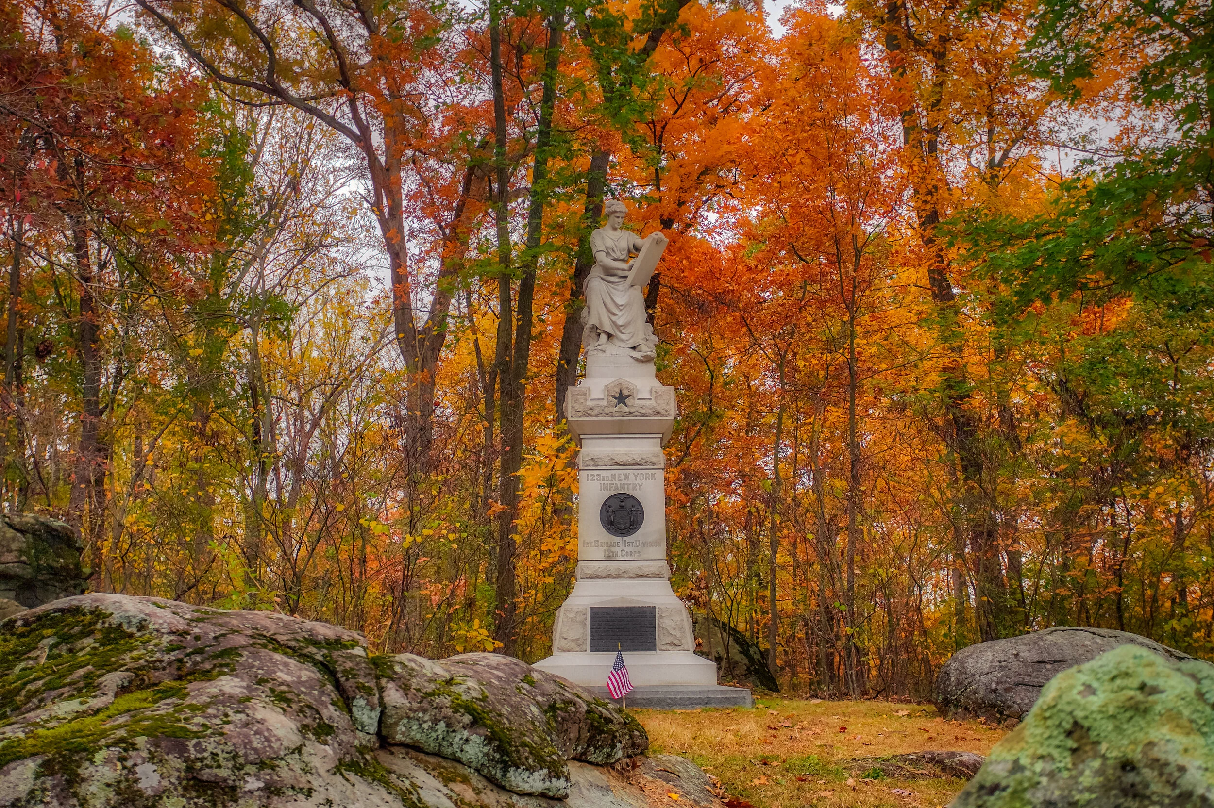_MG_2437.jpg