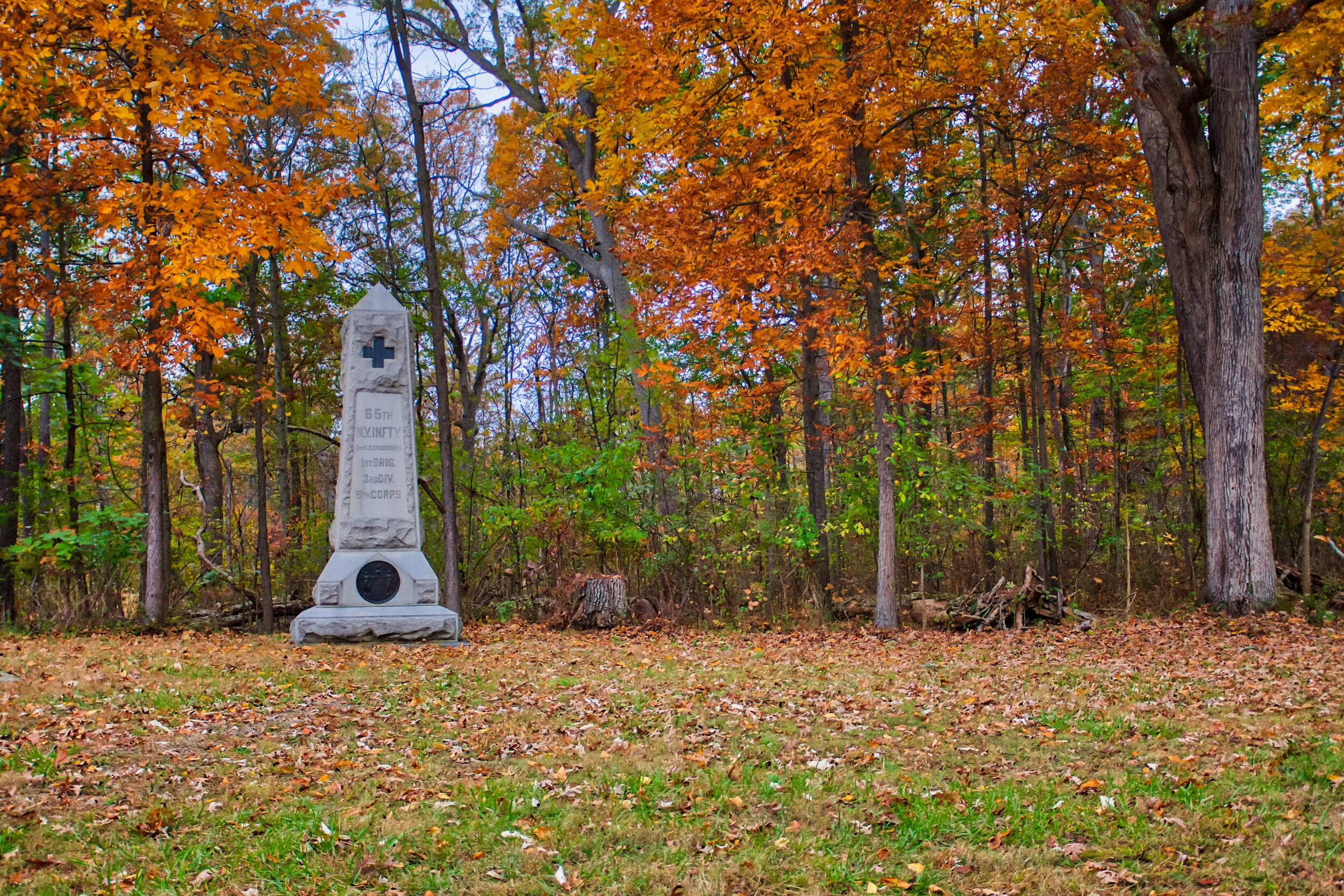 _MG_2455.jpg