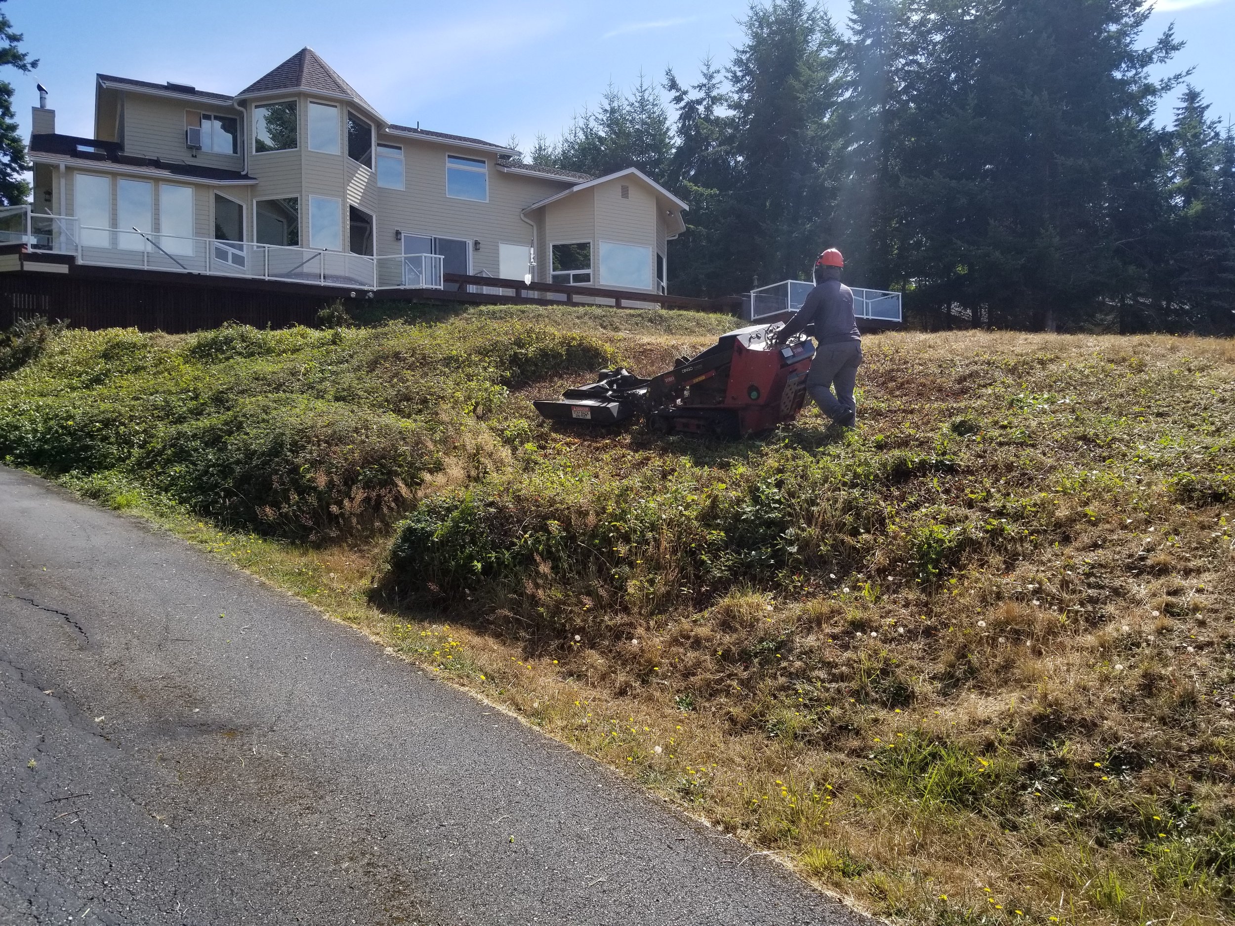 Brush hog mowing 1.jpg