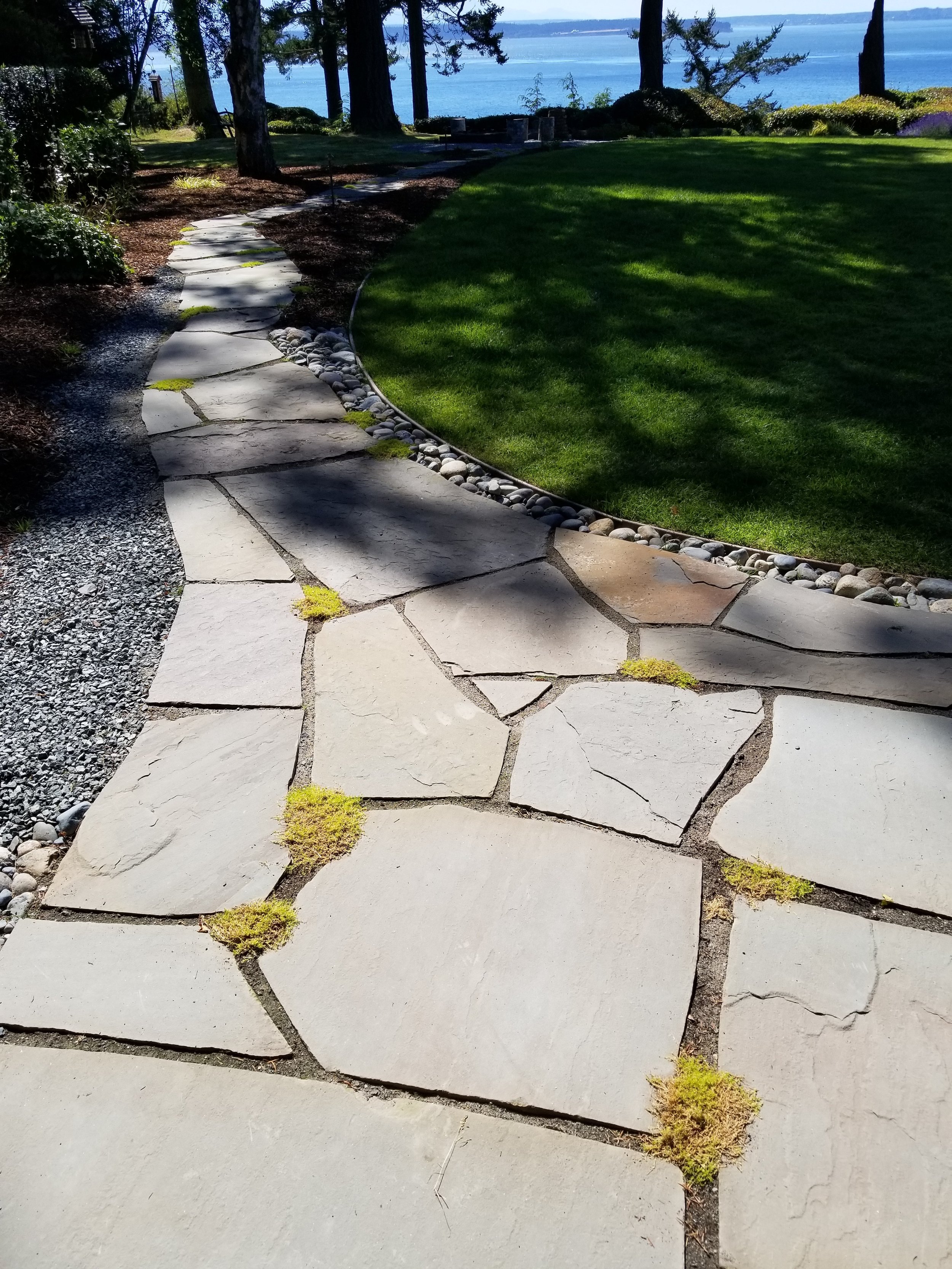 New Patio Planted.jpg