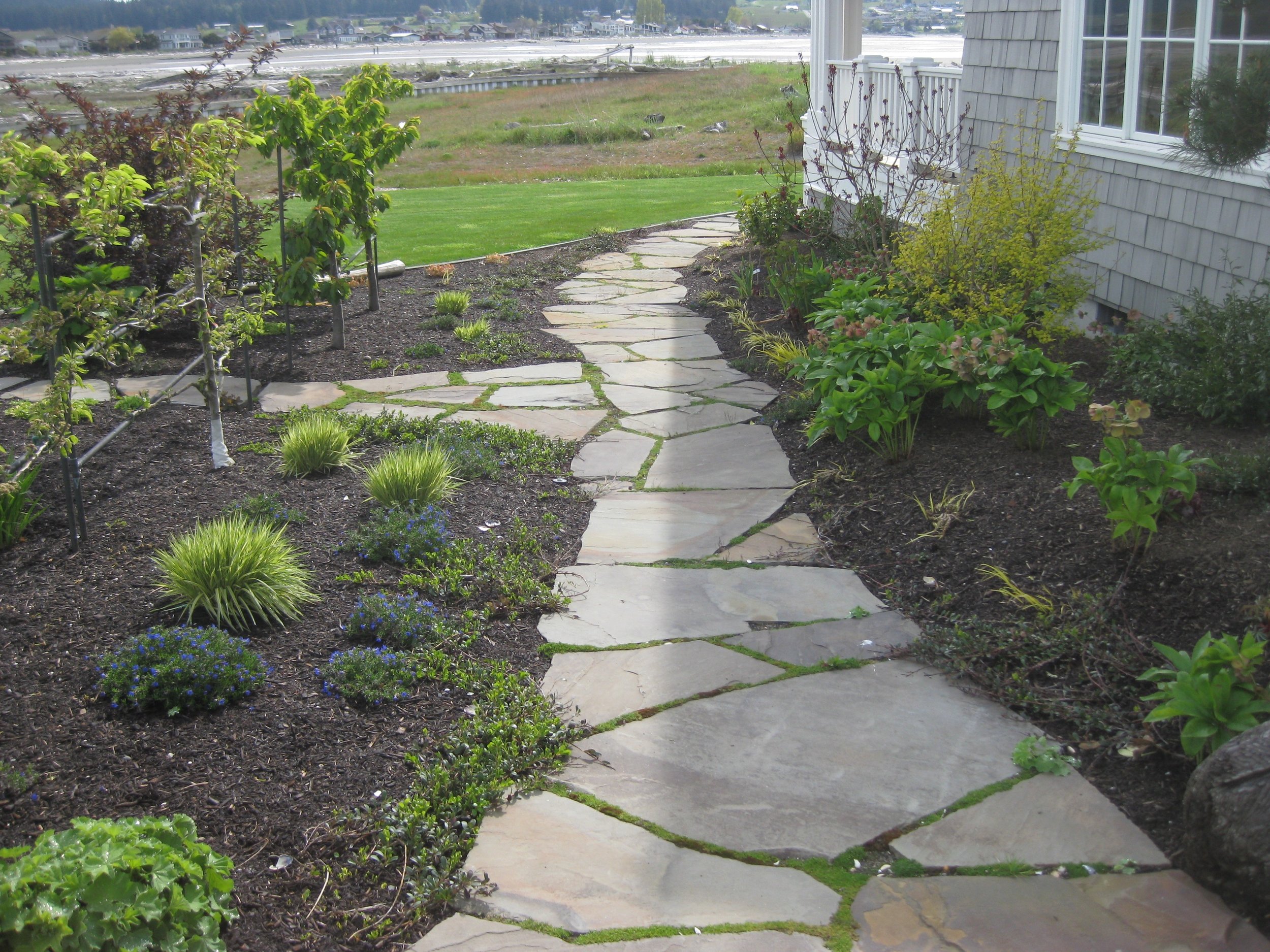 Garden Path.jpg