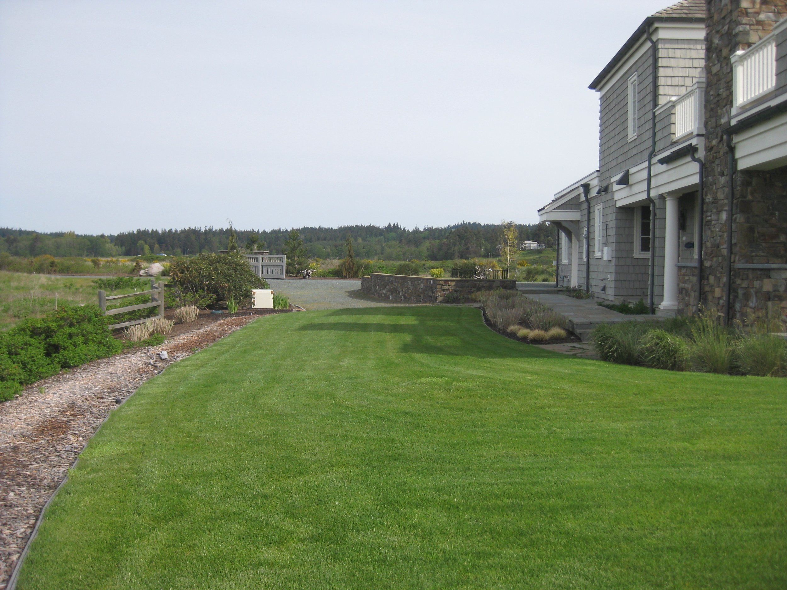 Side Lawn and Beds.jpg