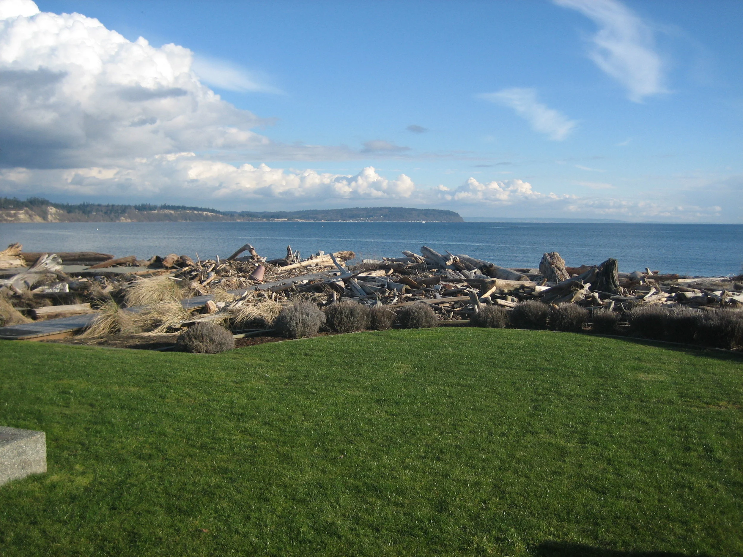 After Storm Cleanup.jpg