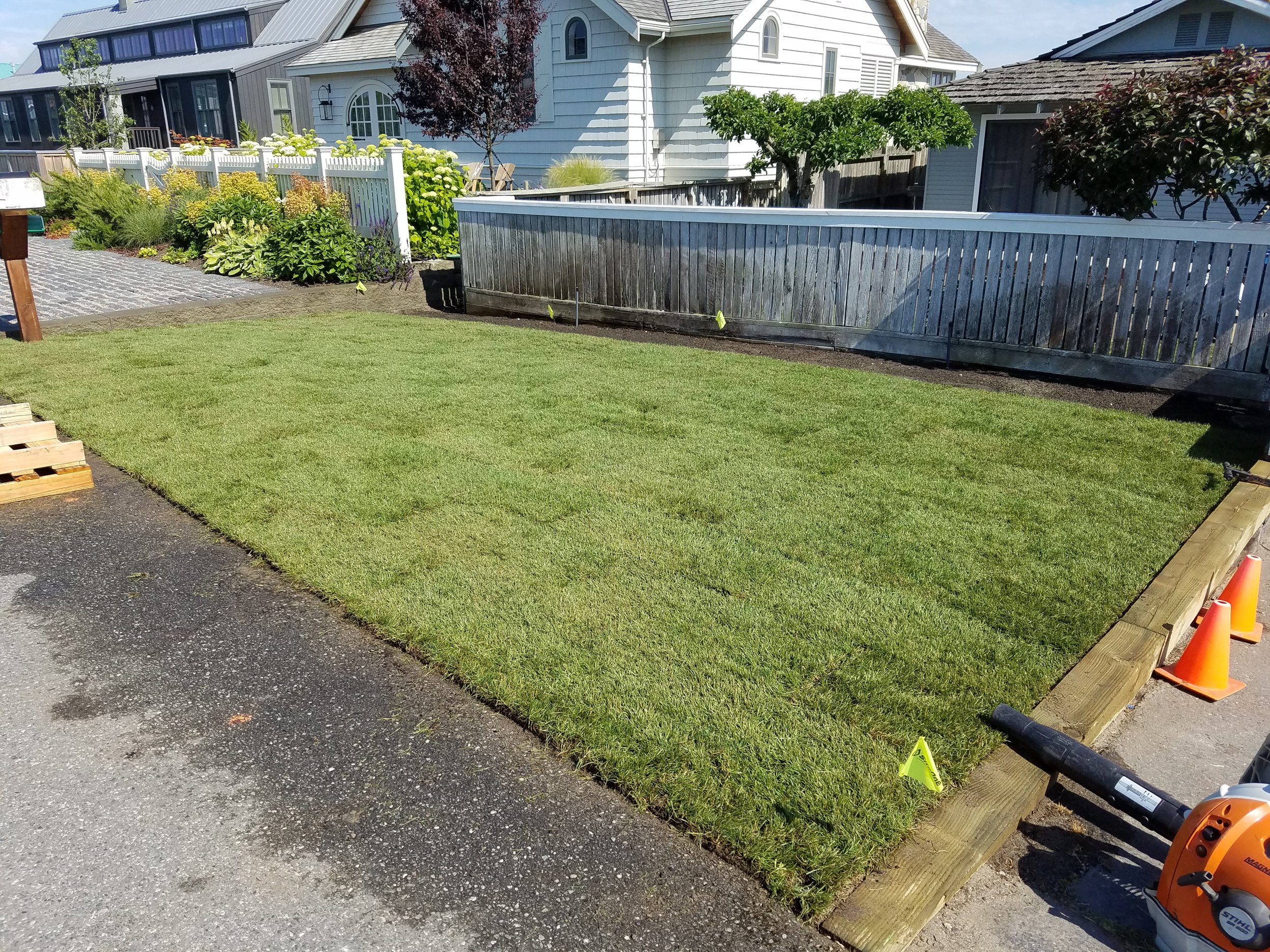 New Lawn.jpg