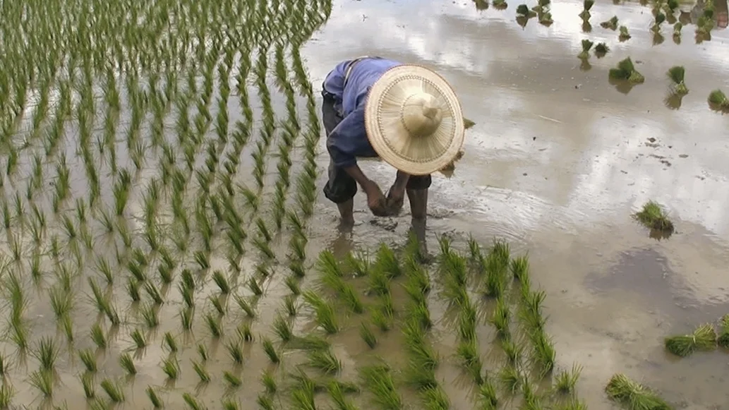 Thailand Clean Water Community Project