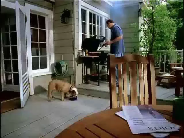 Kibbles 'n Bits | Steak