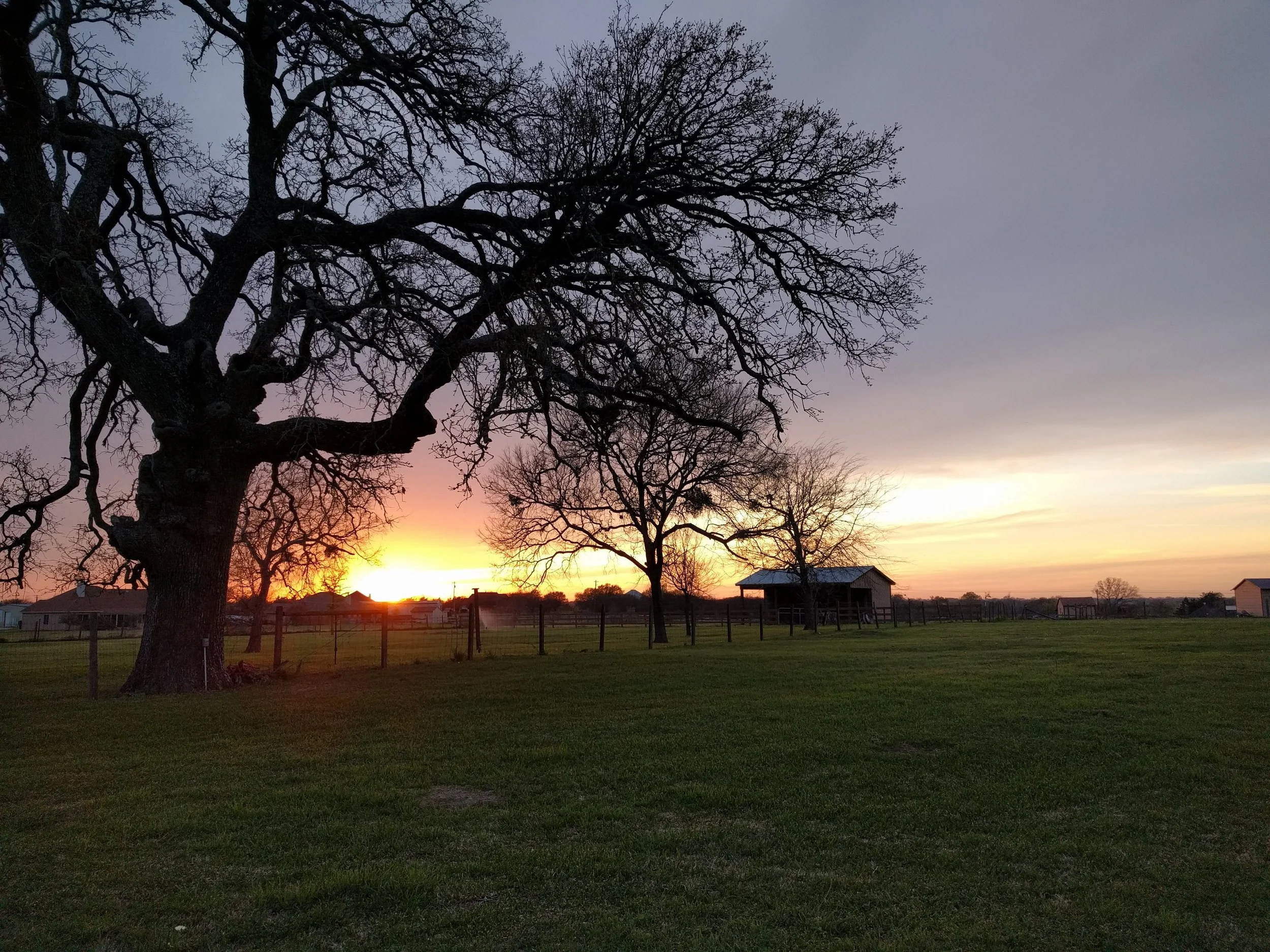 Oranges and reds streak across a Texas sky