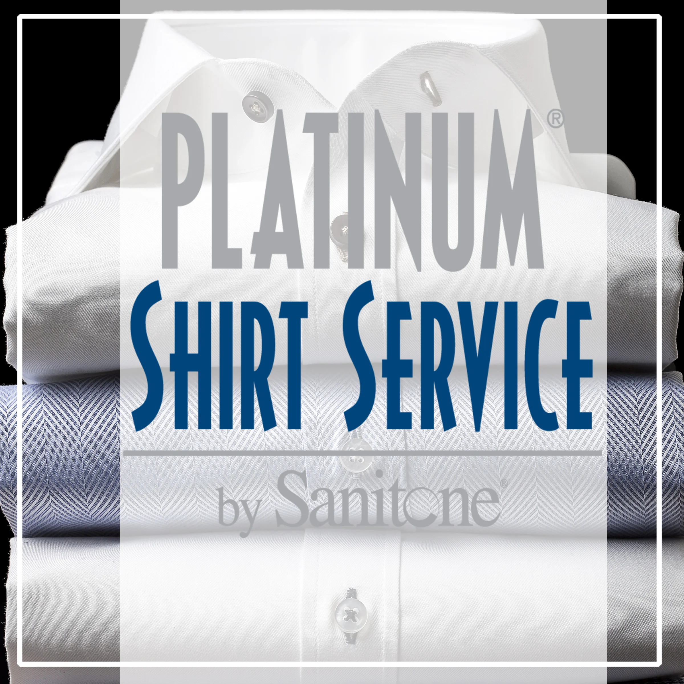 paltshirtserviceIG.jpg