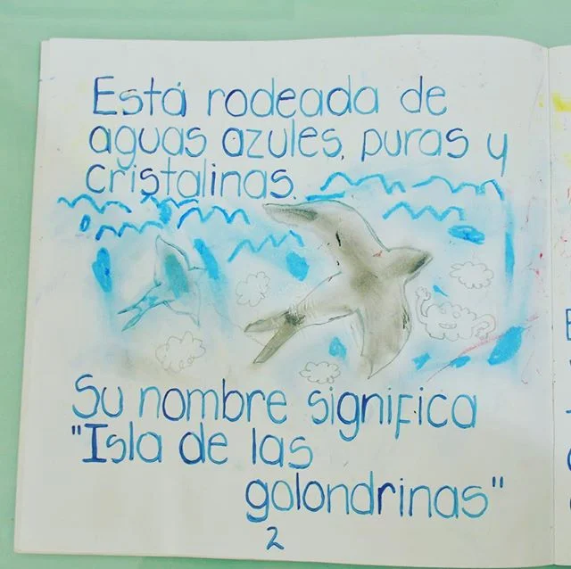 La isla de las golondrinas! #cozumel #childrenmovement #protecttheocean #coralreefrestoration