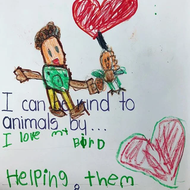 Animals are here for us to love them!