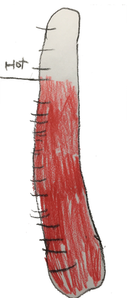 img_0274.png