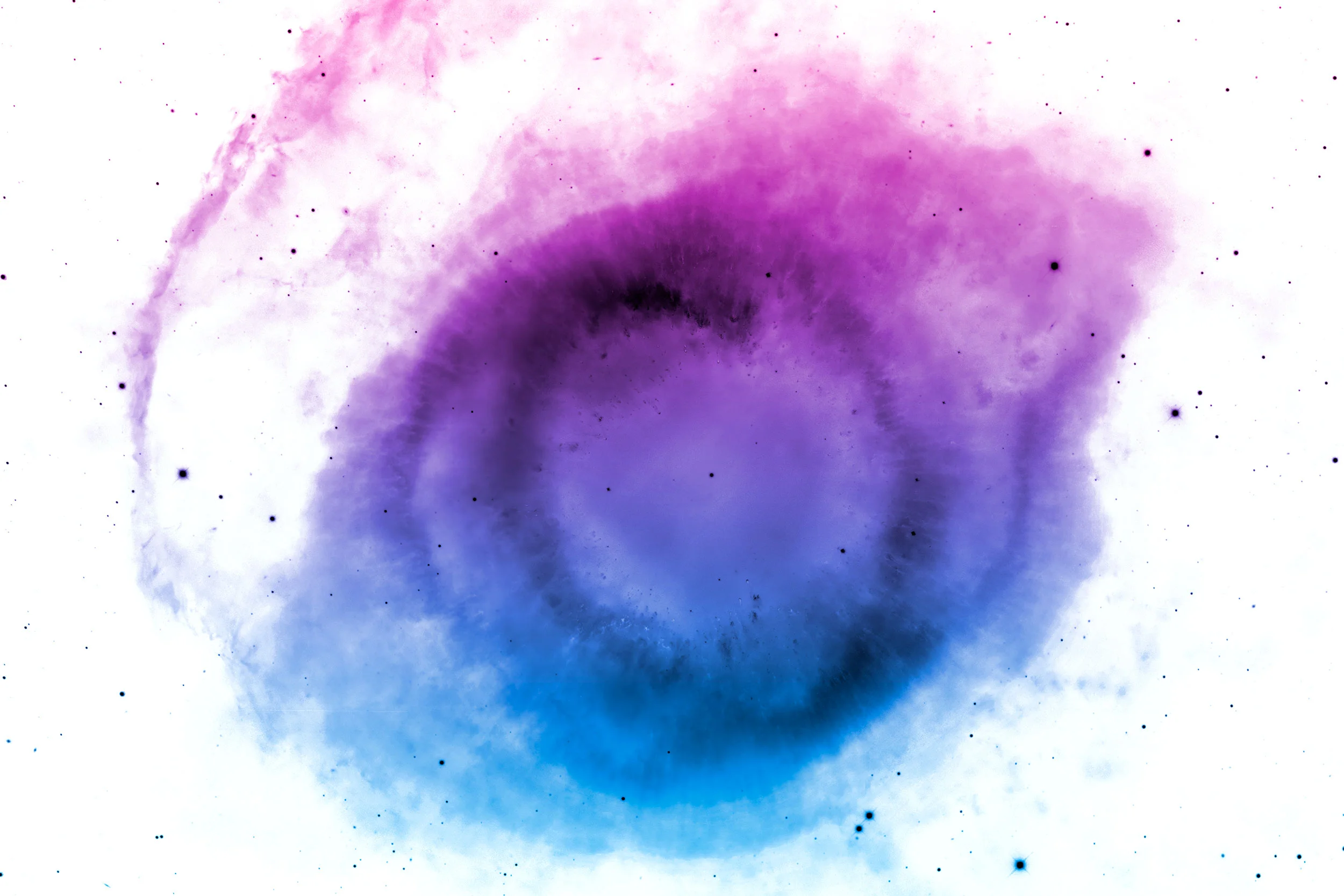 RickBales_Macrocosmos_4.jpg