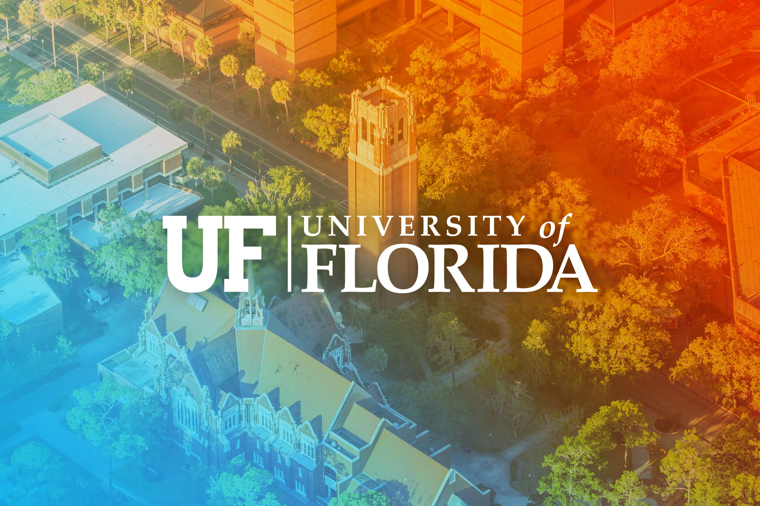 Branding  •  Identity Design  •  Marketing Materials  •  Print Design  •  Web Design