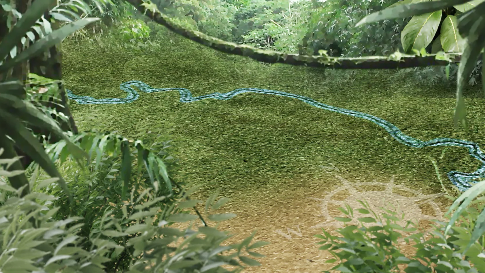 JUNGLE SHOT.jpg