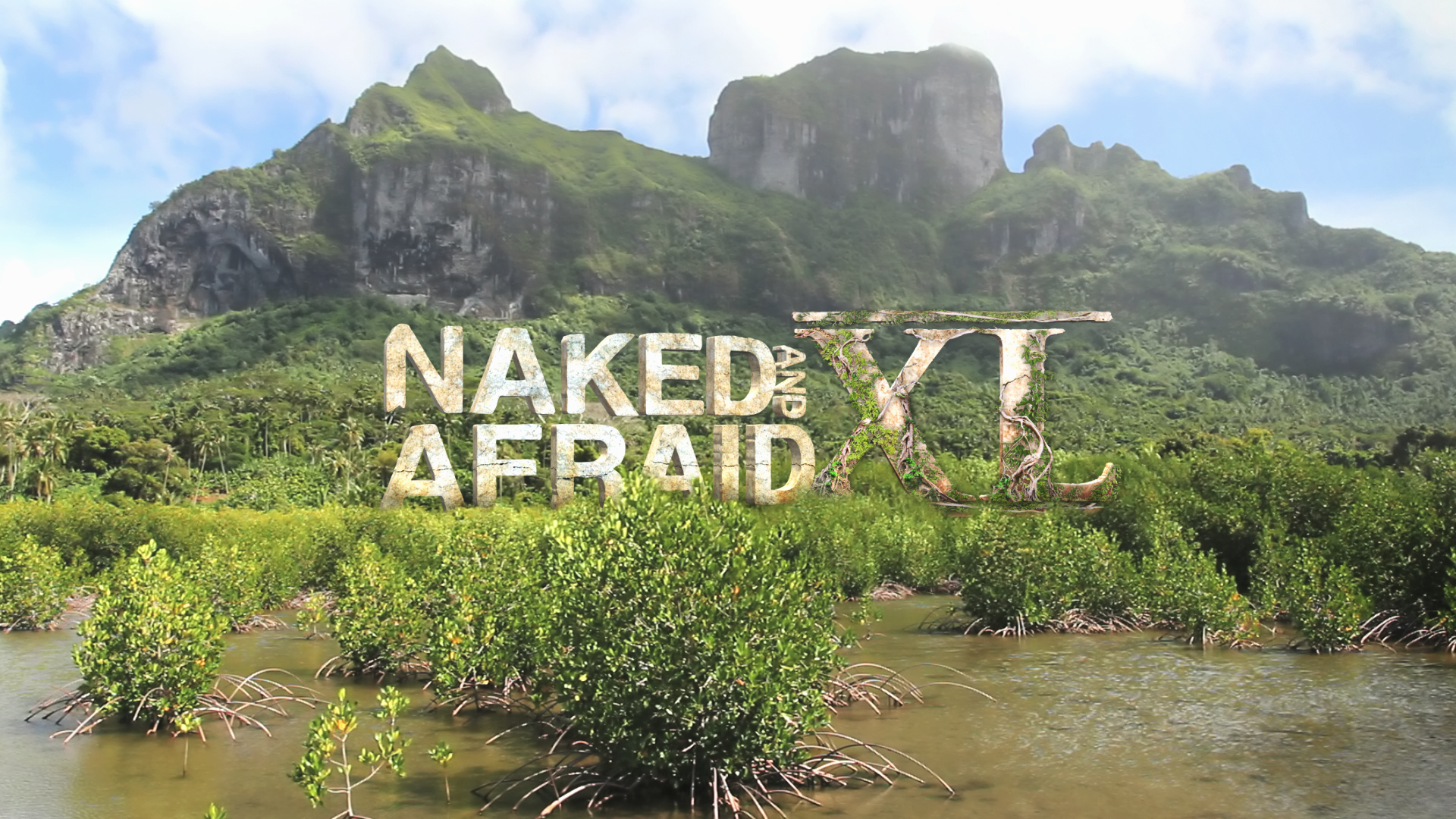 XL VINES COMP title for avatar.jpg