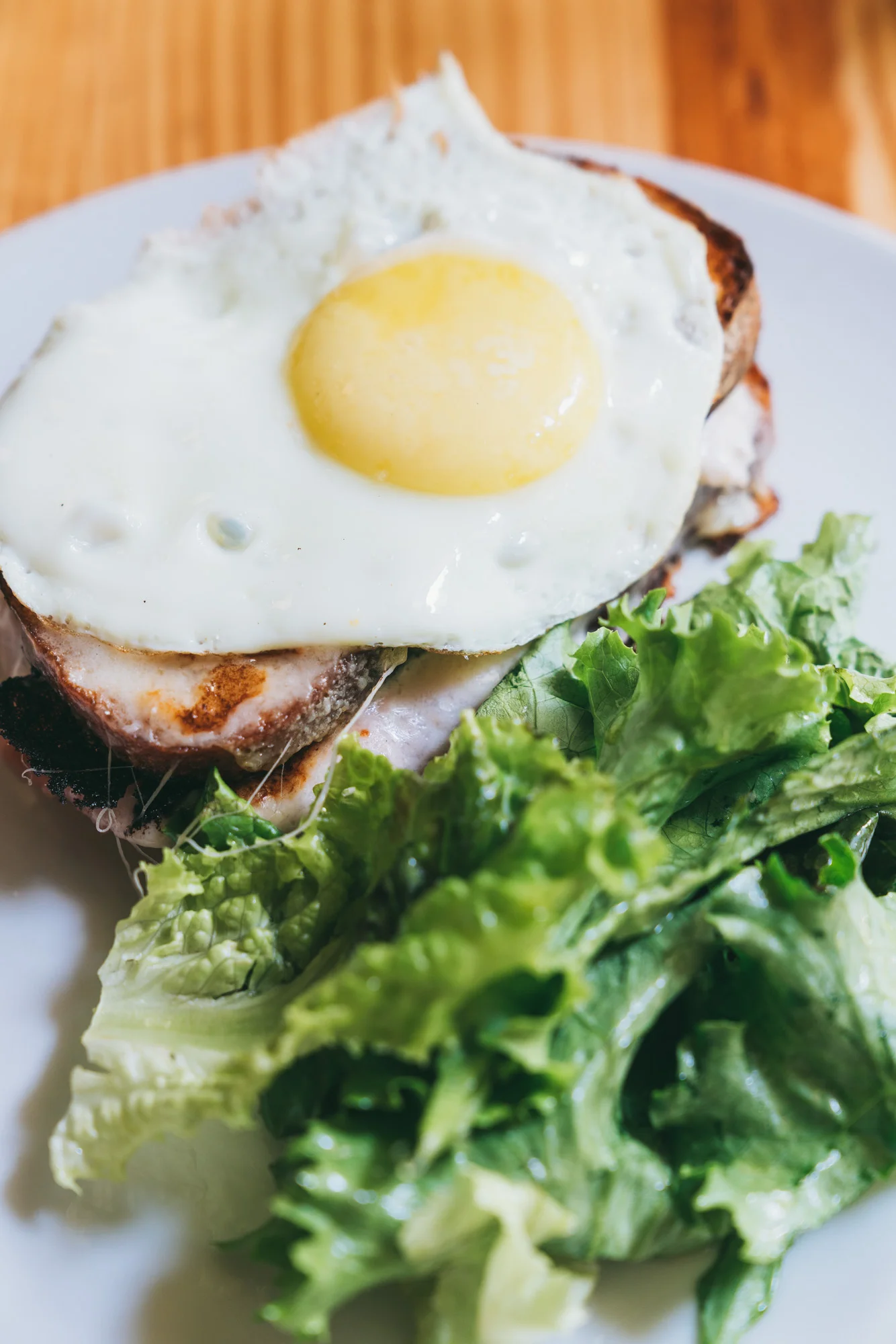 Restaurante Lardo, ItalianMexican Fusion at Its Finest — Project Murray