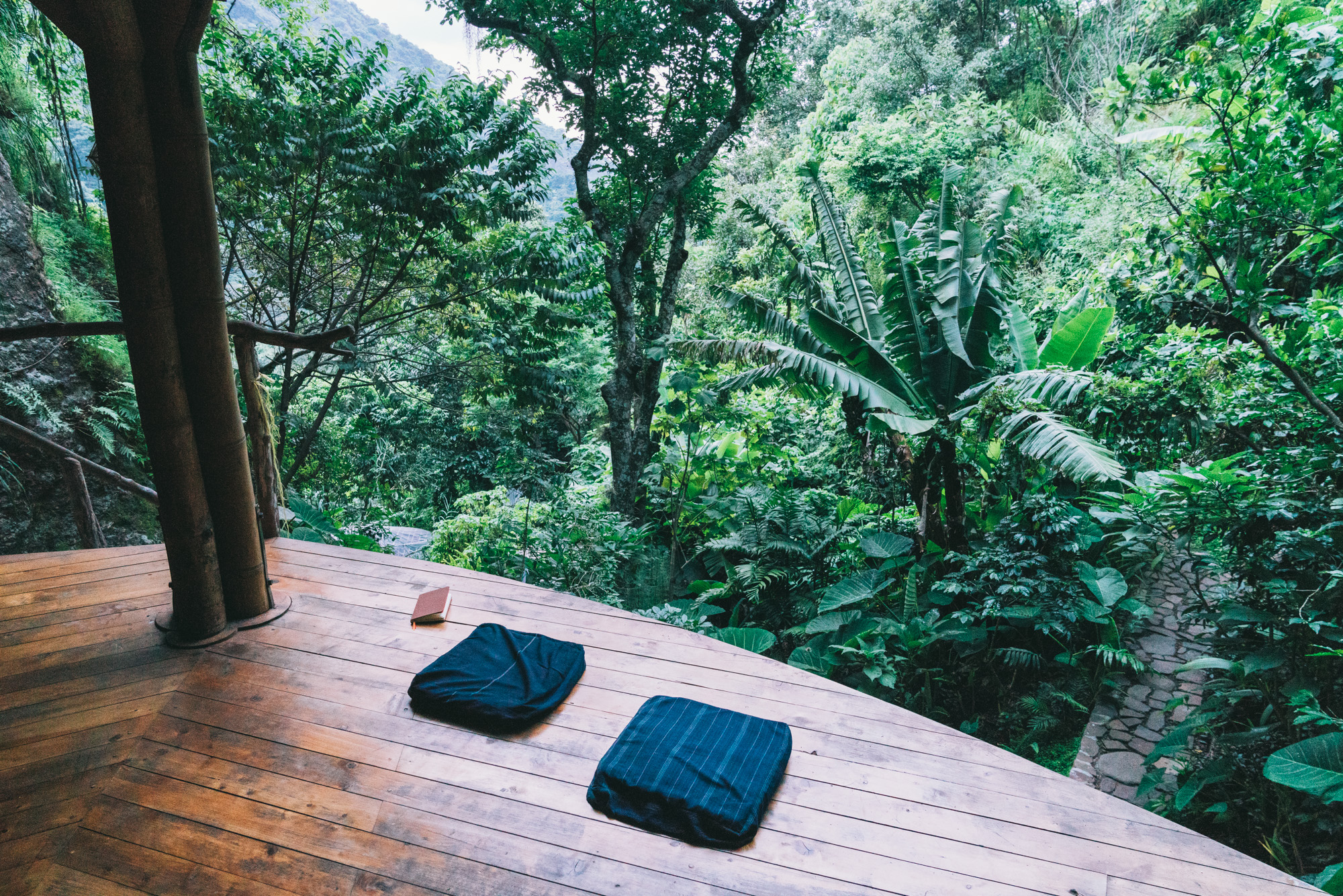 Yoga Forest-124.jpg