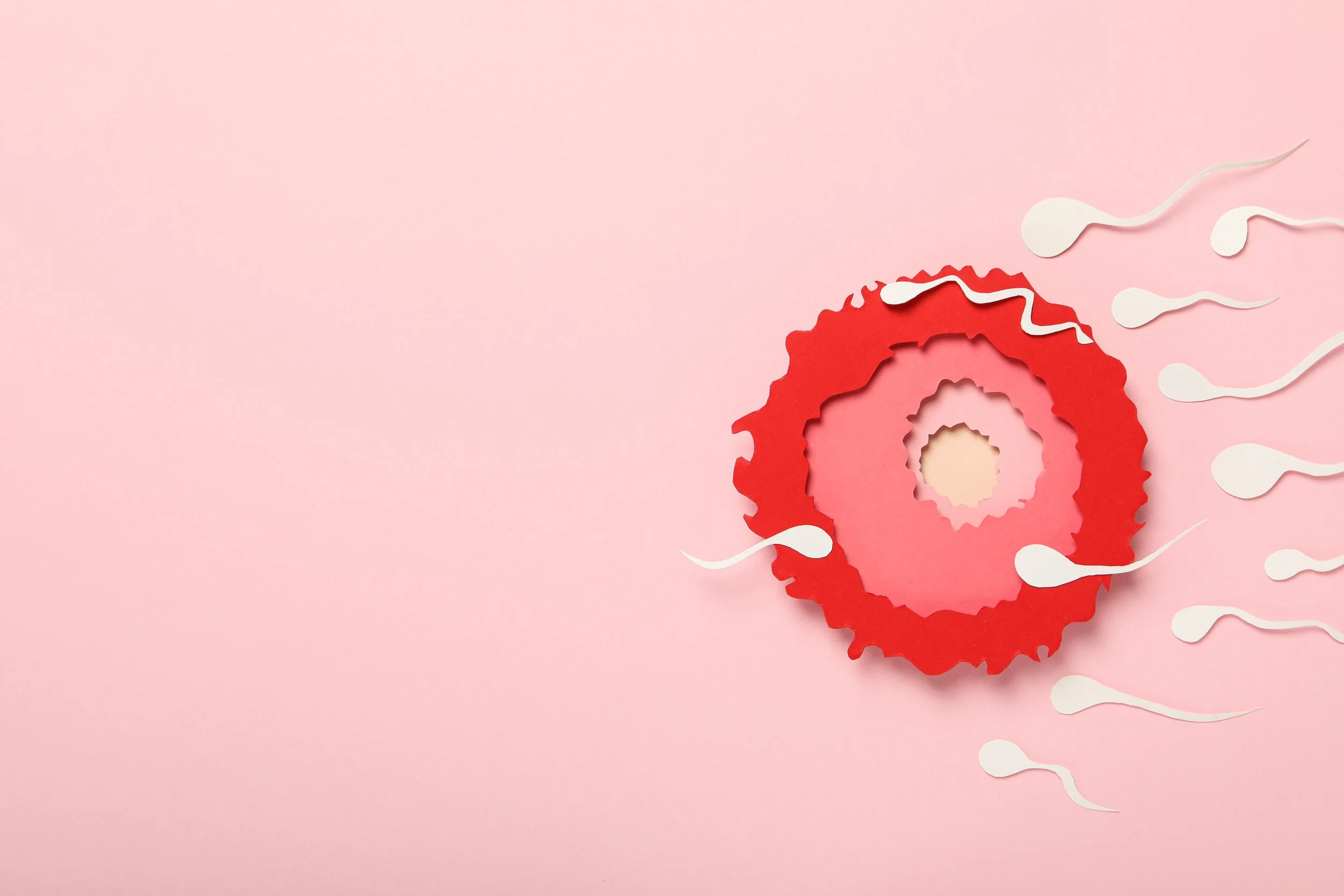 Understanding BBT: A simple guide to our body's natural signals