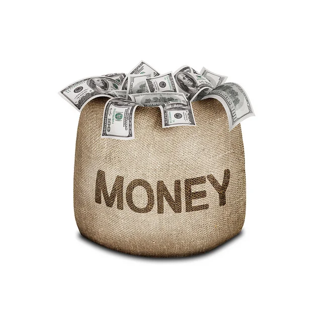 moneybag.jpg