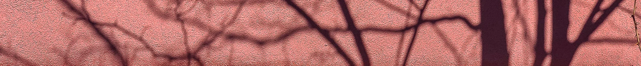 IMG_3256-Edit.jpg