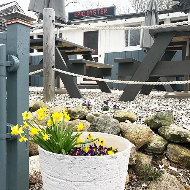 April showers bring May flowers and we can&rsquo;t wait until we can post open hours! Comment below with what you can&rsquo;t wait to order at Epic! 🦪