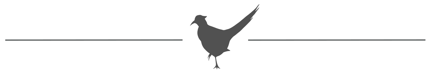 pheasant accent and line2.png