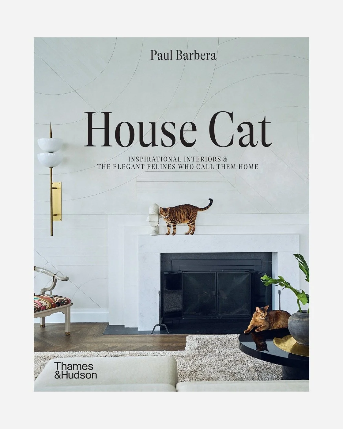 House+Cat_Main.jpg