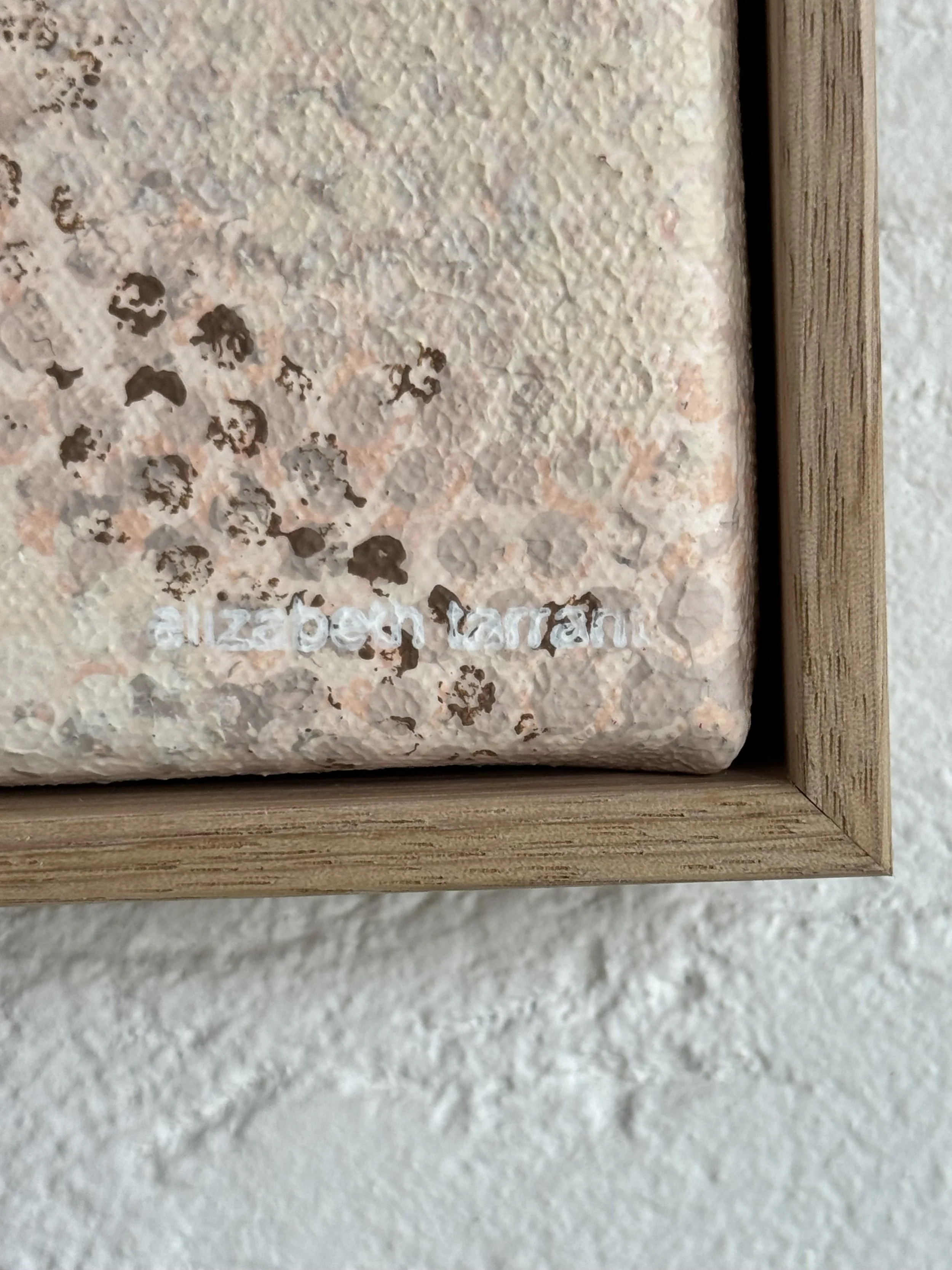 Still 6_Detail 2_Elizabeth Tarrant_anaca studio.jpg