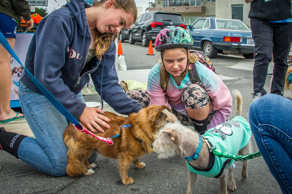 _WCB4048 Open Streets Santa Cruz.jpg