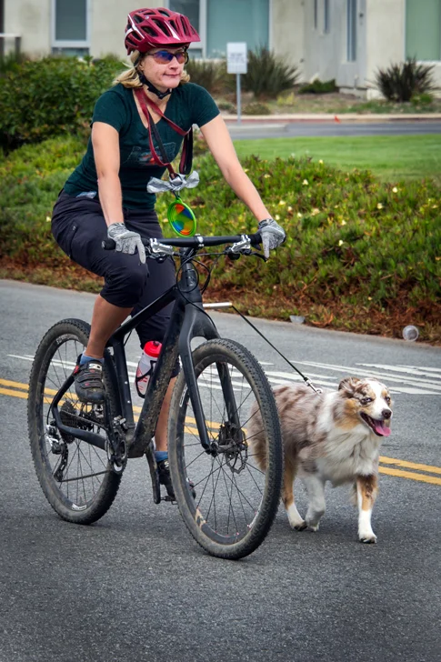 _WCB4049 Open Streets Santa Cruz.jpg