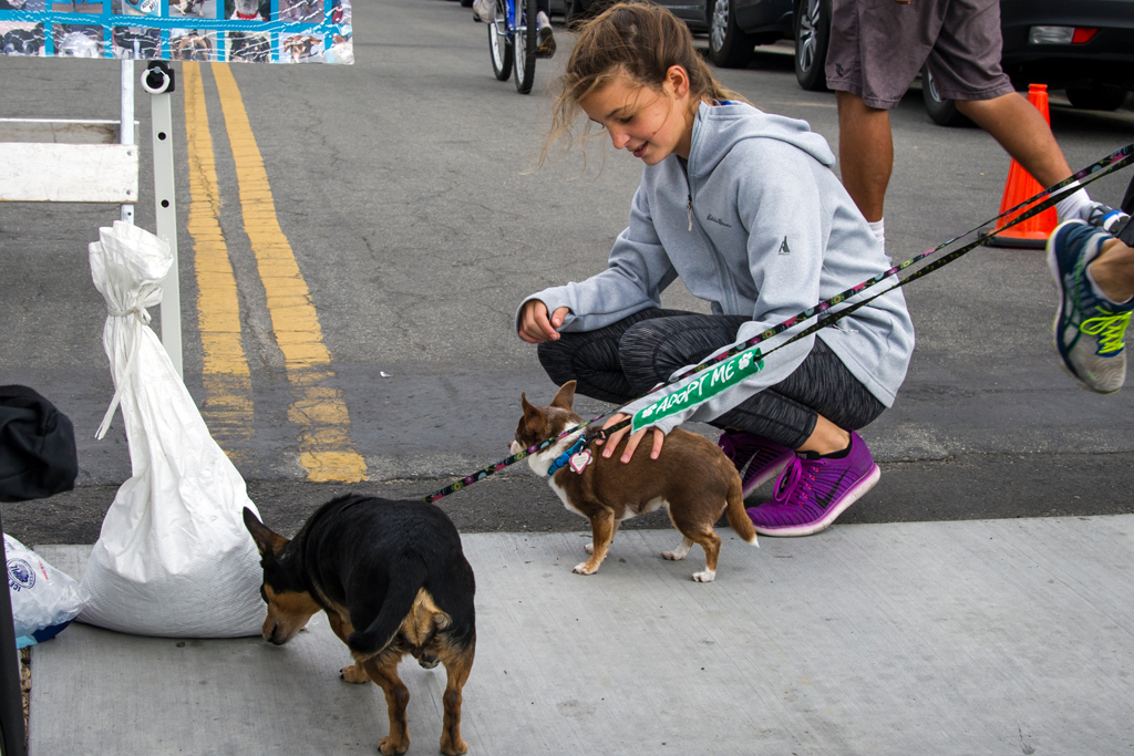 _WCB4028 Open Streets Santa Cruz.jpg
