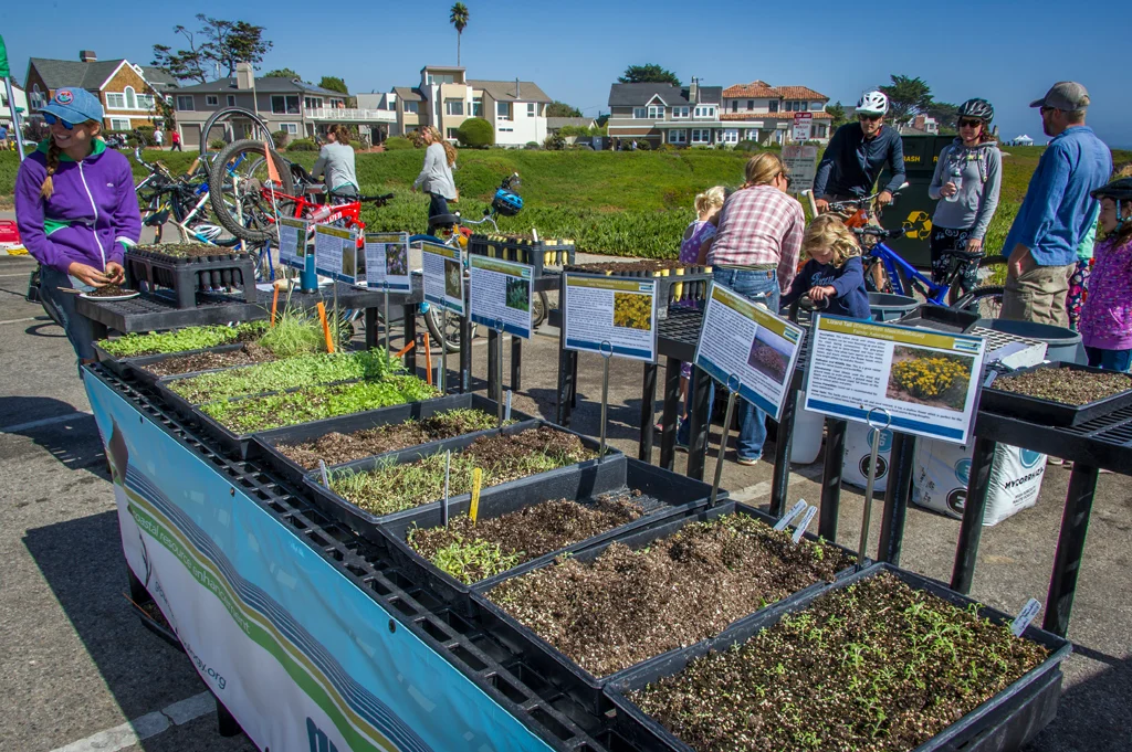 _WCB4458 Open Streets Santa Cruz.jpg