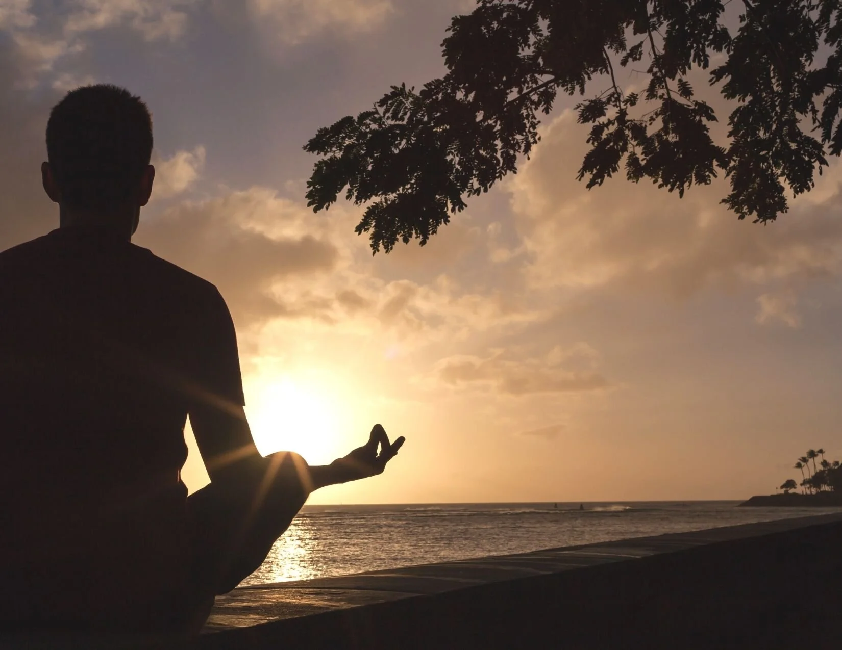 Schedule by location — STONE WAVE YOGA