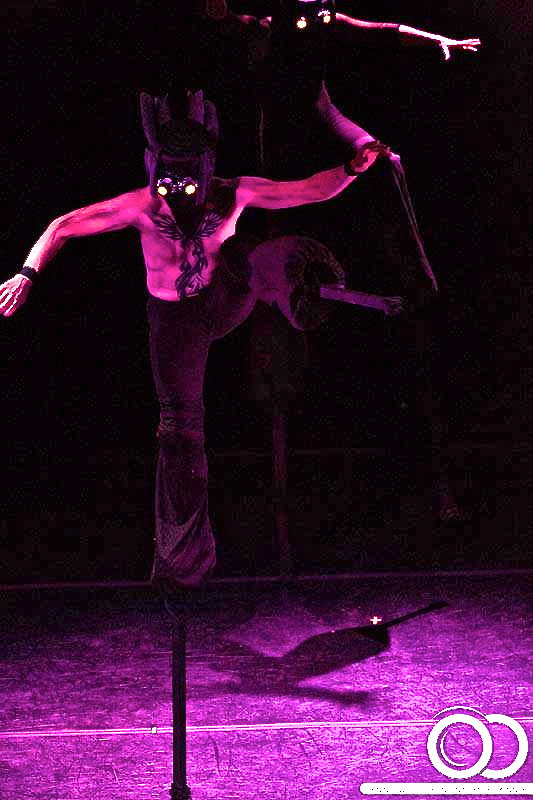 Circus Stilts