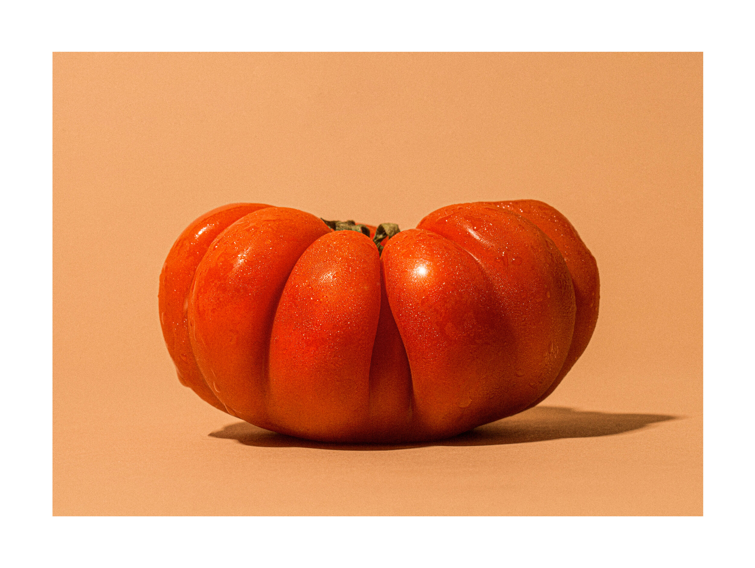 tomato1-14.jpg